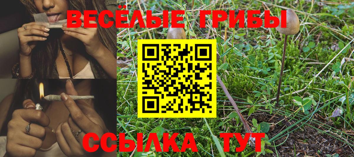 закладка  Вход с VPN  Симферополь  Галлюциногенные грибы Magic Shrooms 