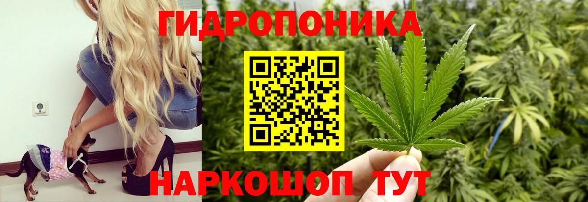 Марихуана White Widow Симферополь